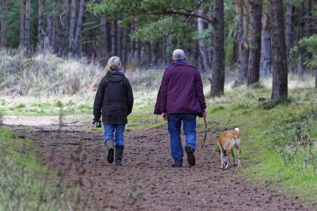 dog walking