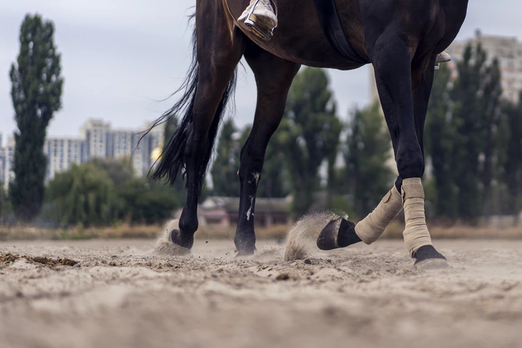 horse-riding