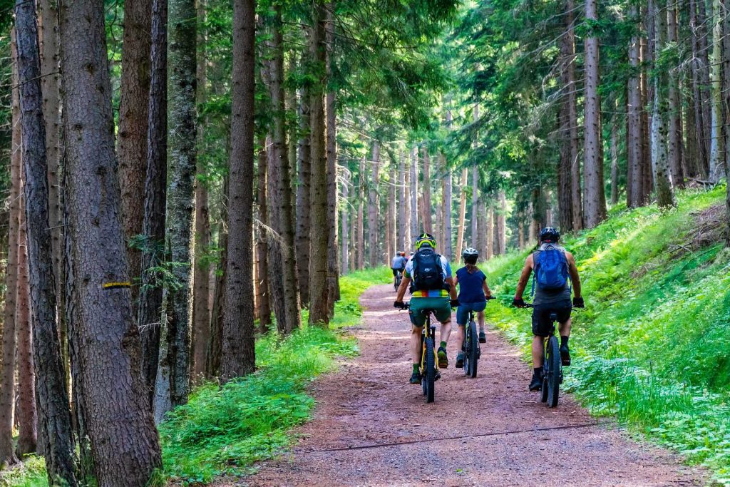 mountain-bike