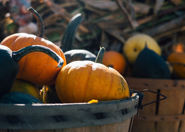 pumpkings in a basket